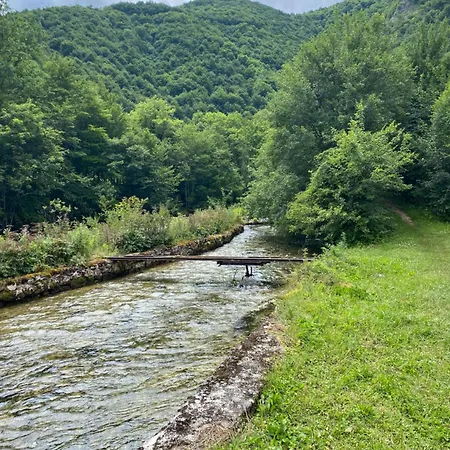 Izvor Plive