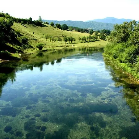 Izvor Plive